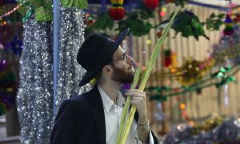 [צילום: יעקב נעמי, פלאש 90]
