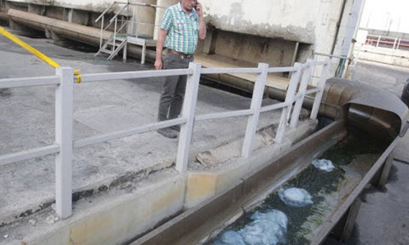 ים של מדוזות בתחנת הכוח [צילום: יוסי וייס, חברת החשמל]