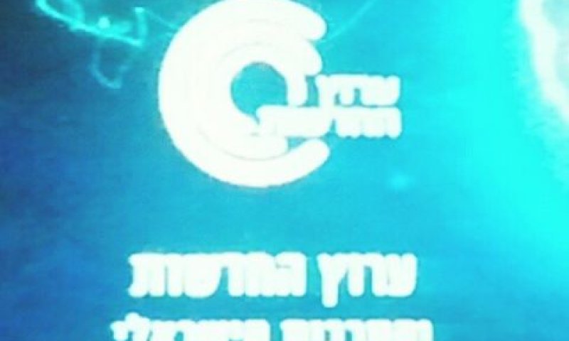 ערוץ 33. התוכניות נגוזו
