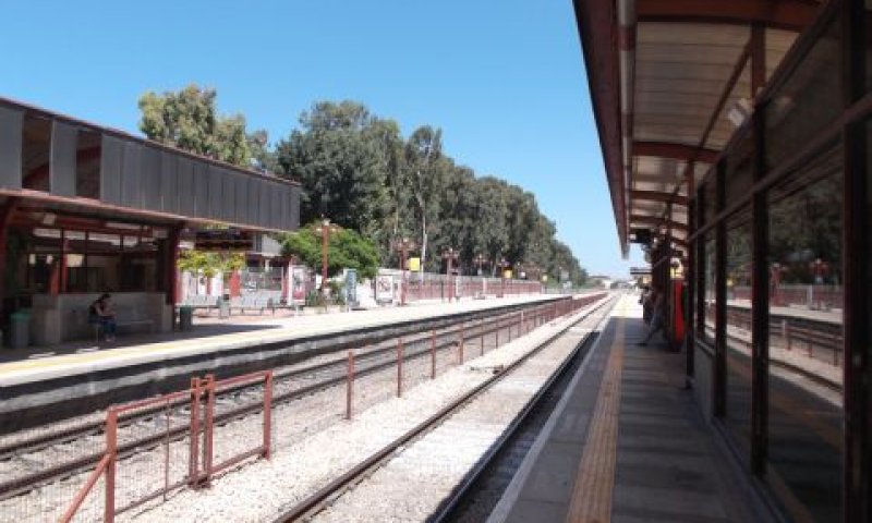 [צילום: איתמר לוין]