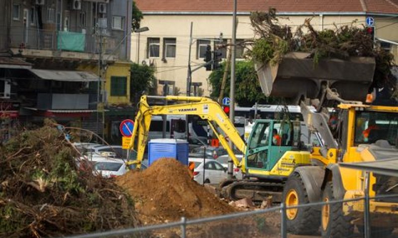 חופרים במרץ [צילום: מרים אלסטר/פלאש 90]