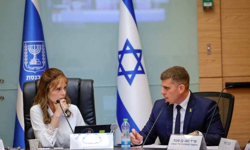 ירון לוי ומיכל וולדיגר. "אין נתונים &ndash; אין רפורמה" [צילום: נועם מושקוביץ/דוברות הכנסת]
