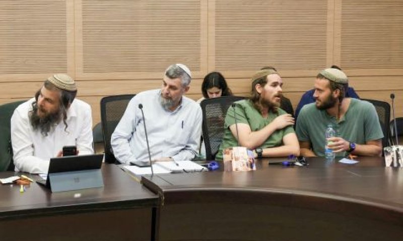 הדיון בוועדה [צילום: דני שם-טוב/דוברות הכנסת]