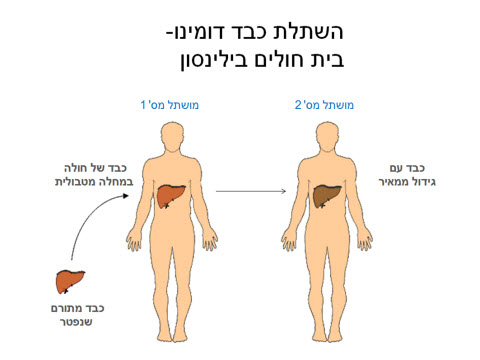 [צילום: יח"צ]