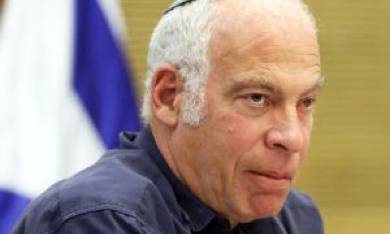 אריאל. הדדי [צילום: פלאש 90]