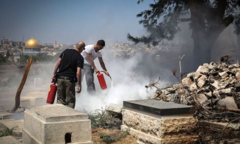 [צילום: הדס פרוש/פלאש 90]