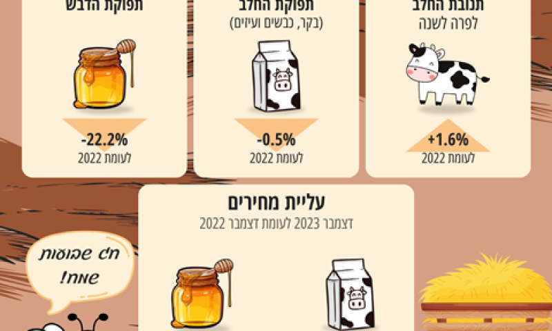מספר הרפתות ירד, מספר הפרות החולבות עלה [צילום: הלשכה המרכזית לסטטיסטיקה]