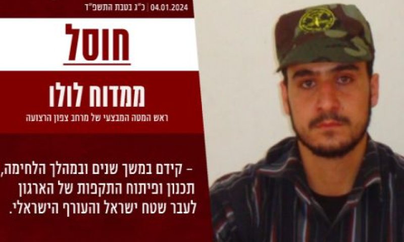 ממדוח לולו