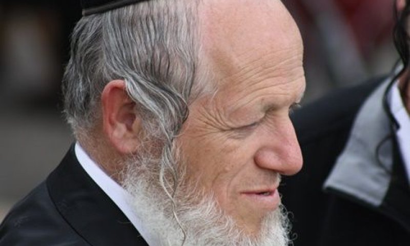 משי-זהב. הידרדרות בריאותית בימים האחרונים [צילום: איציק וולף]