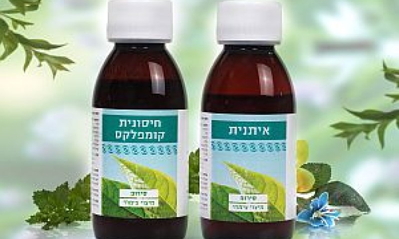 [צילום: אפרת אשל]