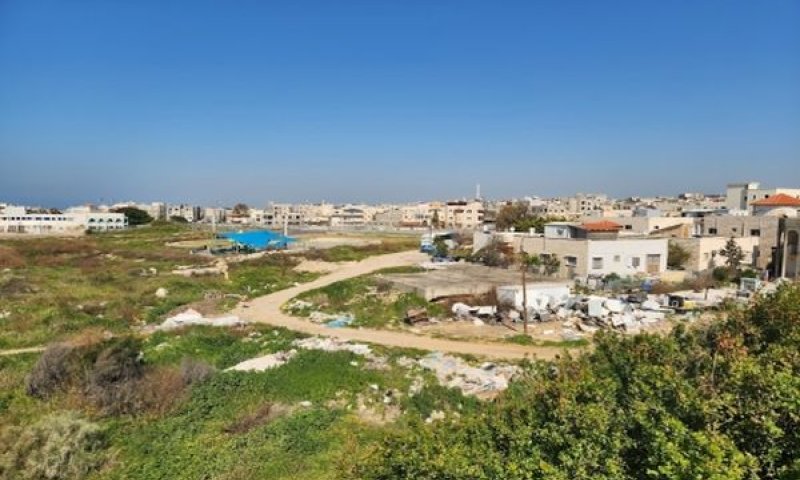 [צילום: גיא גרימלנד]