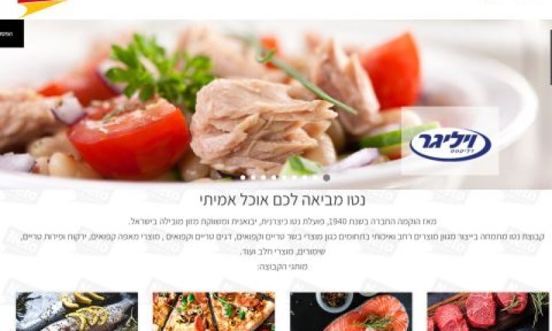 תיבת הדוא"ל נבדקה