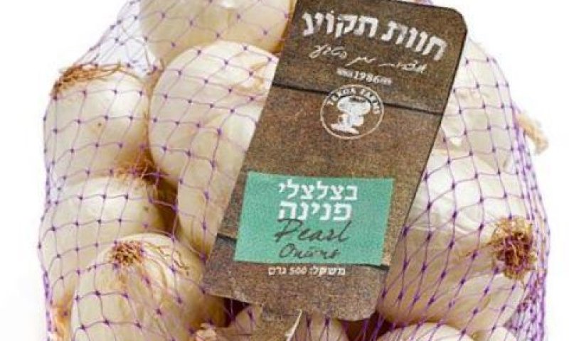 [צילום: בועז לביא]