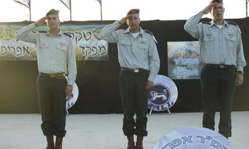 [צילום: דו"צ]
