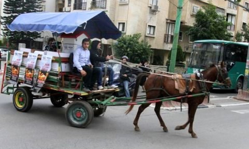 אימא, הבטחת לנו סוס פוני לשבת... [יח"צ]