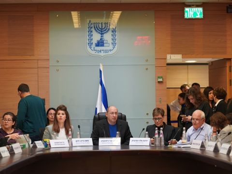 ועדת הכנסת [צילום: עדינה ולמן, דוברות הכנסת]