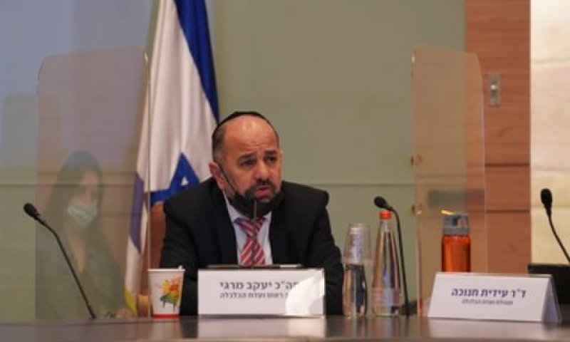 ח"כ מרגי בדיון בוועדה [צילום: דוברות הכנסת, דני שם טוב]