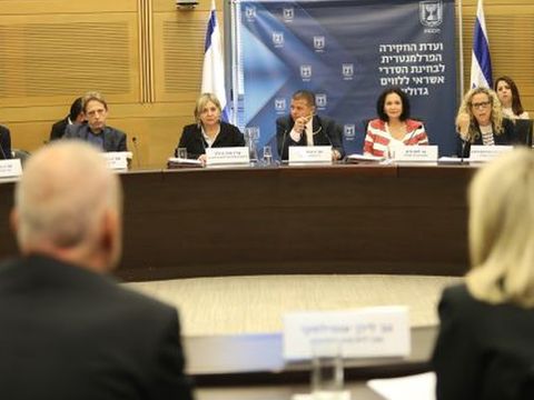 [צילום: נועם רבקין פנטון/דוברות הכנסת]