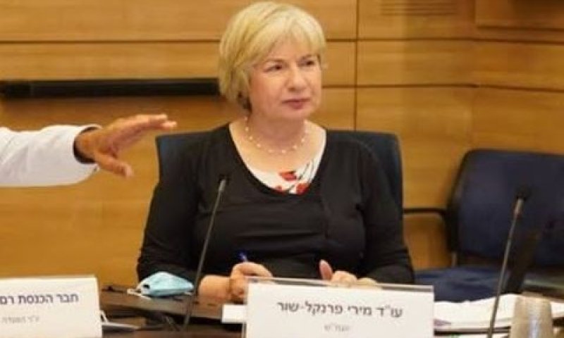 עו"ד מירי פרנקל שור [צילום: דני שם-טוב/דוברות הכנסת]