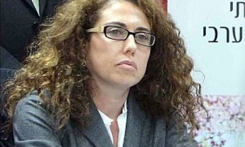 הנדלר. צפי לסיום - חצי שנה [צילום: משרד התקשורת]