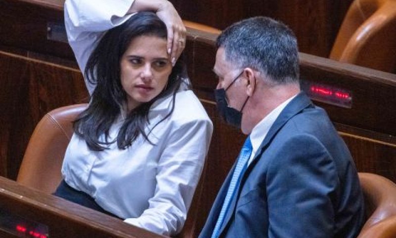שקד וסער. יטילו וטו? [צילום: אוליביה פיטוסי/פלאש 90]