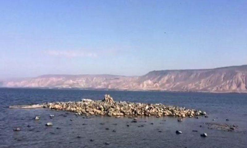 [צילום: יוני דותן, רשות הכינרת]