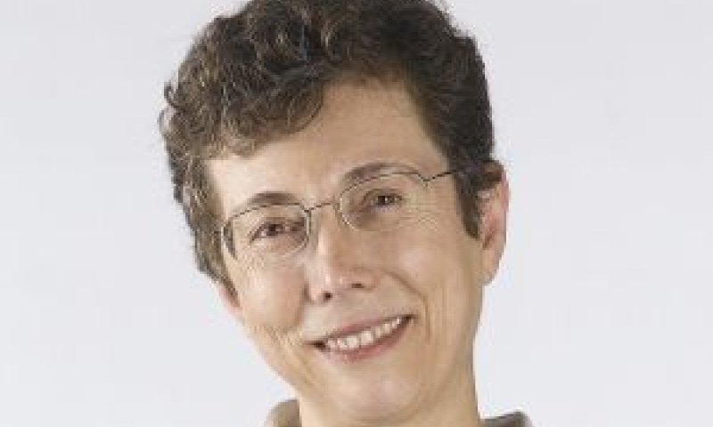 פרופ' שרה סטרומזה [צילום: יורם אשהיים]