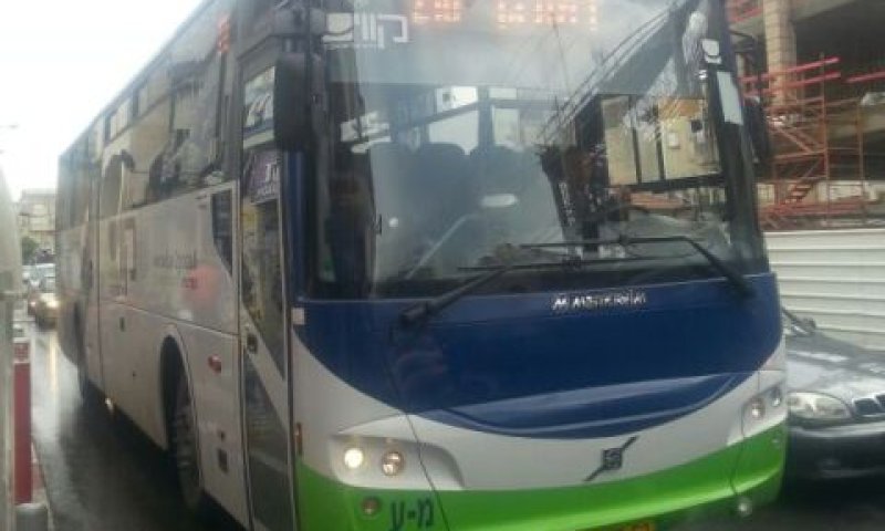 "שביתה פראית"