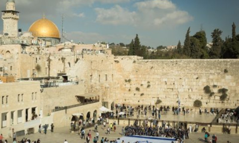 [צילום: סבי ברנס, פלאש 90]