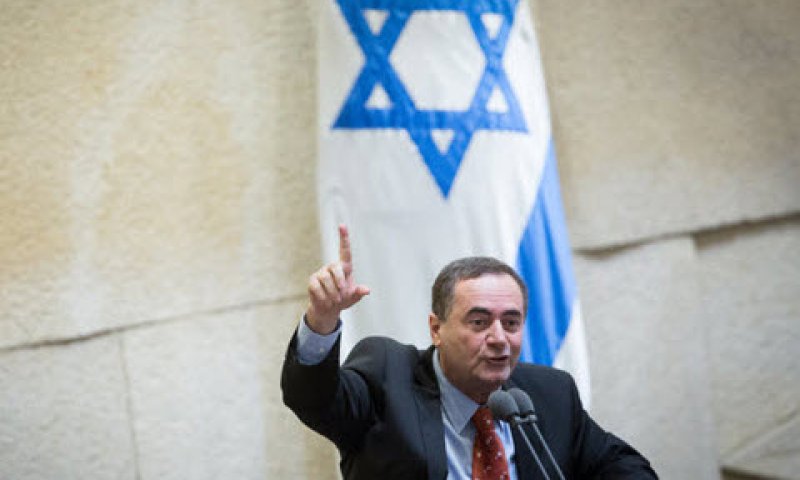 שר התחבורה והמודיעין, ישראל כץ [צילום: מרים אלסטר/פלאש 90]