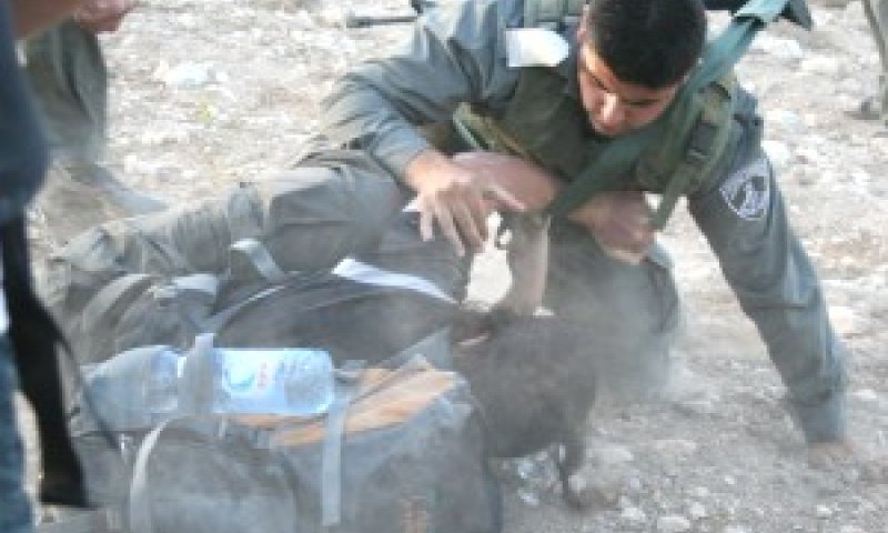 שוטרי מג"ב נתקלים פעמים רבות במפגיני ימין [צילום: זכויות האדם ביש"ע]