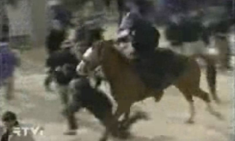 [צילום: RTV]