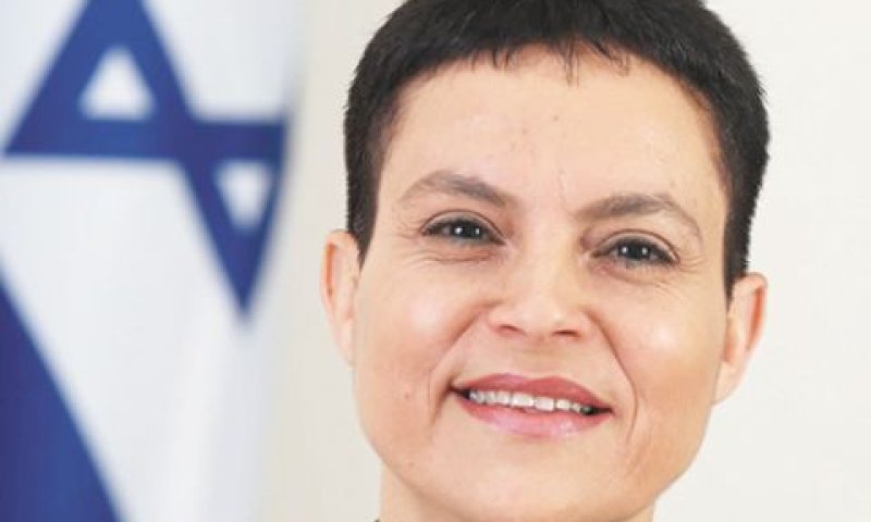 זנדברג. בקנה אחד עם פסיקות בג"ץ