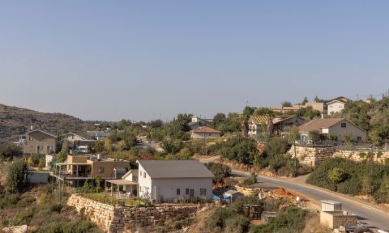 [צילום: יוסי אלוני, פלאש 90]