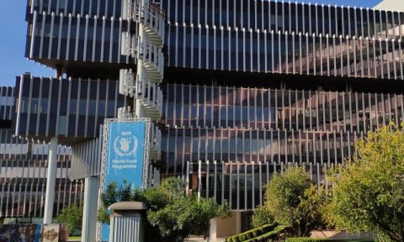 מטה תוכנית המזון העולמית [צילום: קאגט טאו]