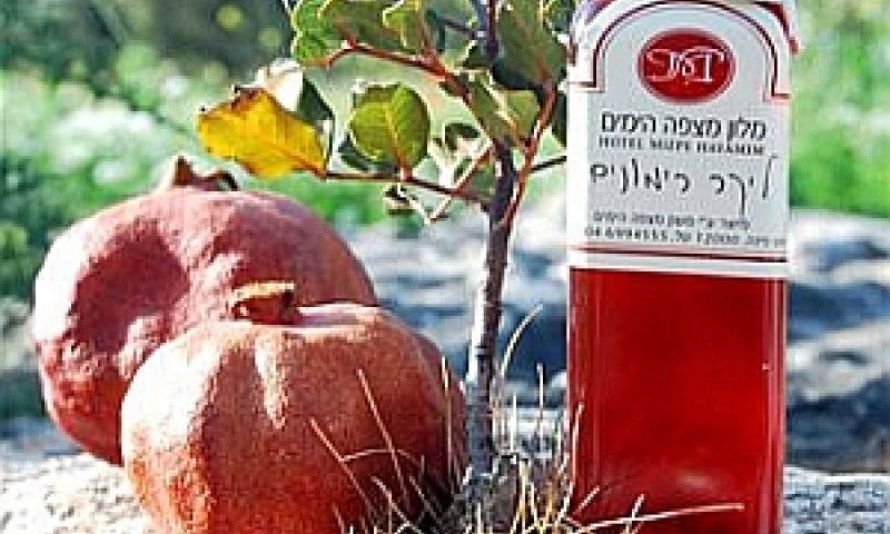 [צילום: יח"צ]