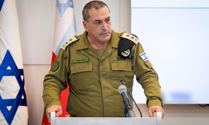 זמיר. פער חריף [צילום: דובר צה"ל]