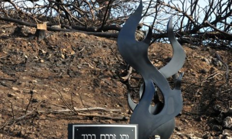 מי שחשב שהלקחים נלמדו - טעה [צילום: פלאש 90]
