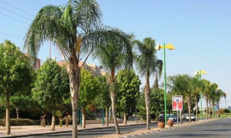 שדרות הרצל, אופקים [צילום אילוסטרציה: יצחק קריספל]