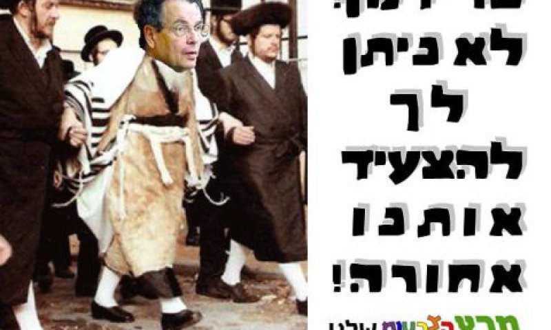 פרידמן הומופוב3.jpg