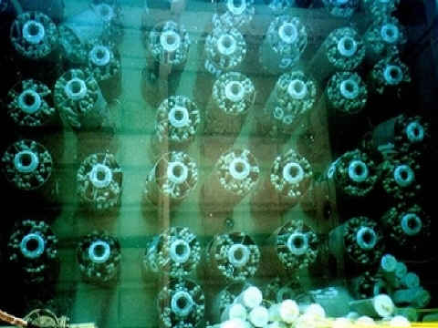 תמונות מיונגביון, 1996 [צילום: AP]