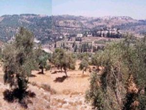 הר חרת כיום