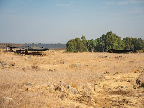חפירת רשות העתיקות בחיספין [צילום: יניב ברמן/רשות העתיקות]