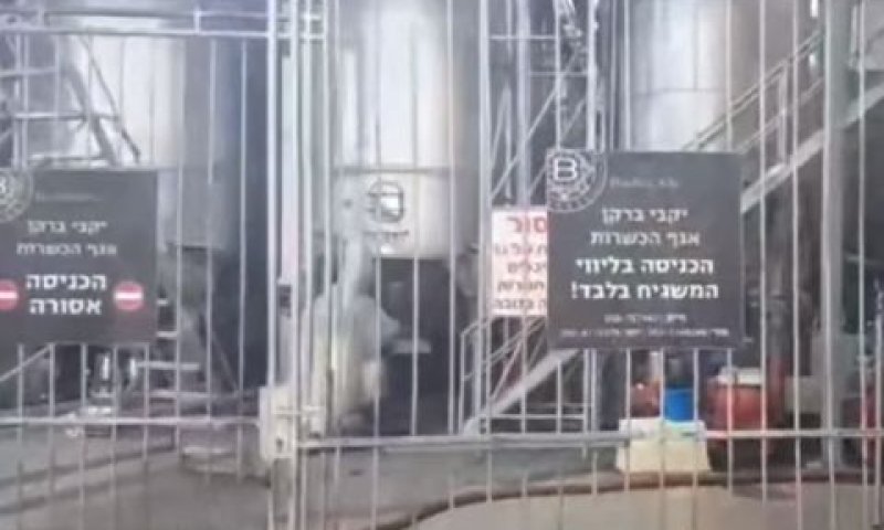 "ההנהלה הבינה שהייתה לא בסדר" [צילום: מן הטלוויזיה]