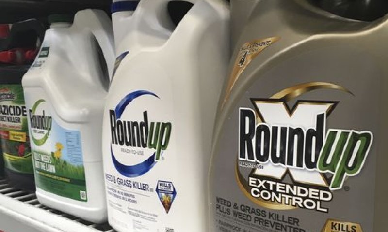 קוטל עשבים Roundup [צילום: הייבן דליי/AP]