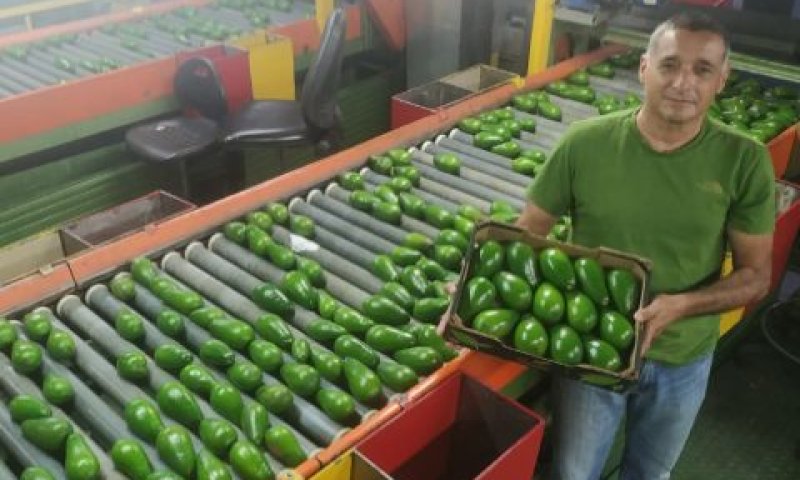 ירון בלחסן מנכ"ל ארגון מגדלי הפירות בישראל [צילום: ארגון מגדלי הפירות בישראל]