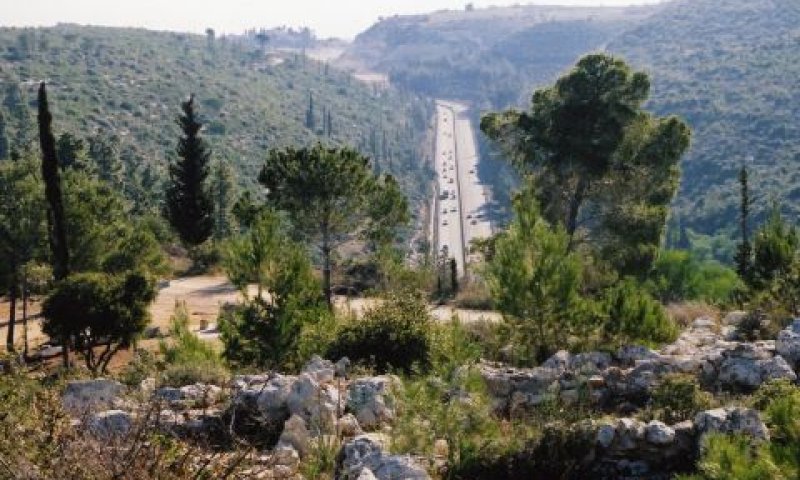 [צילום: קק"ל]