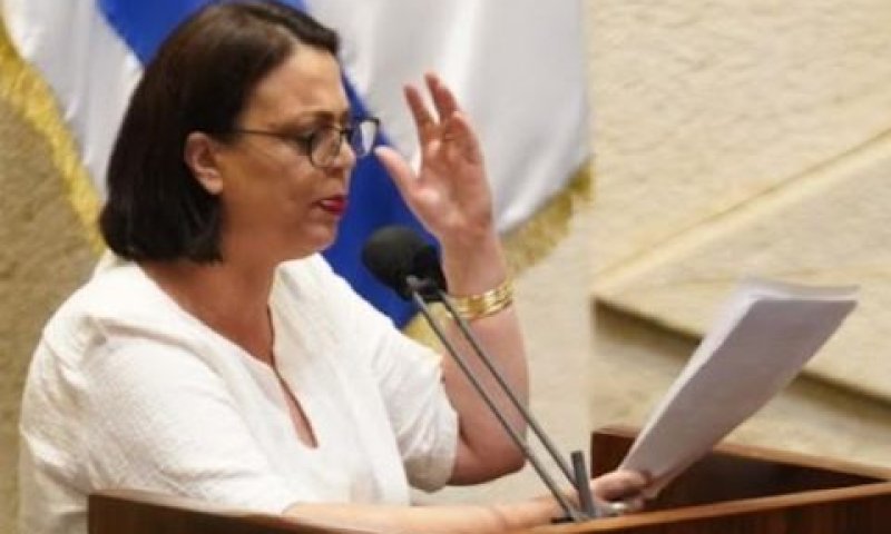 [צילום: דני שם-טוב/דוברות הכנסת]