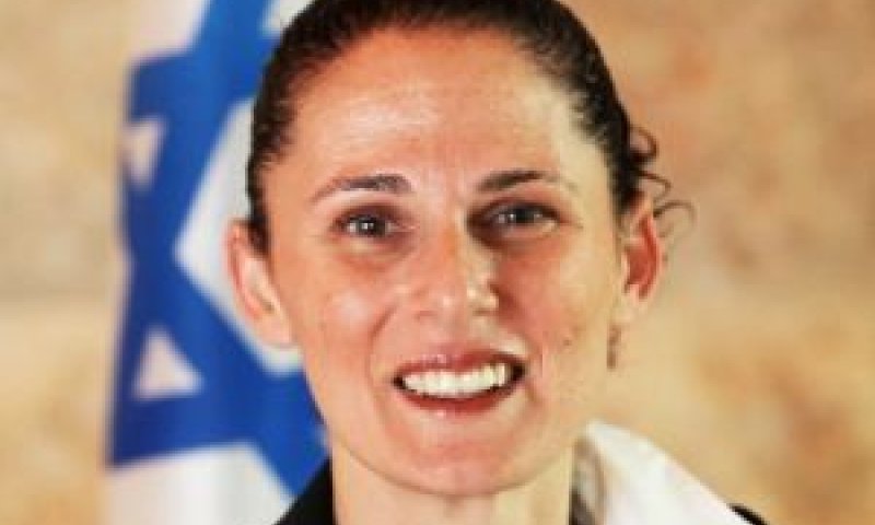 רייך. קו הגנה מופרך [צילום: בוצ'צ'ו]