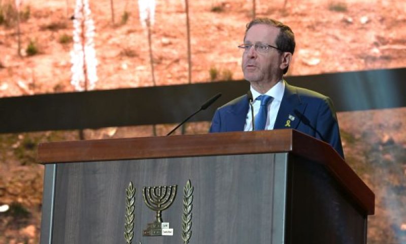[צילום: אבי חיון]